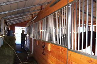 galvanized horse stalls