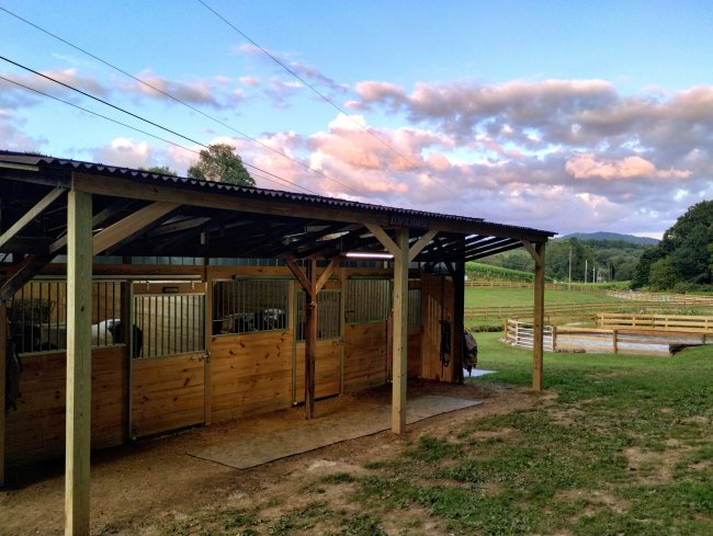 horse run in shed with stalls