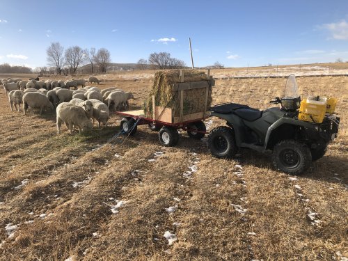 wagon with quad